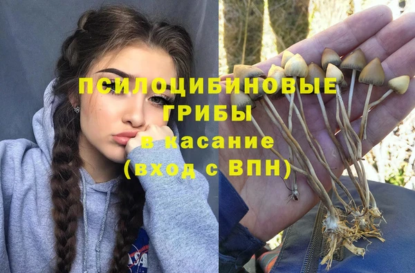 твердый Беломорск